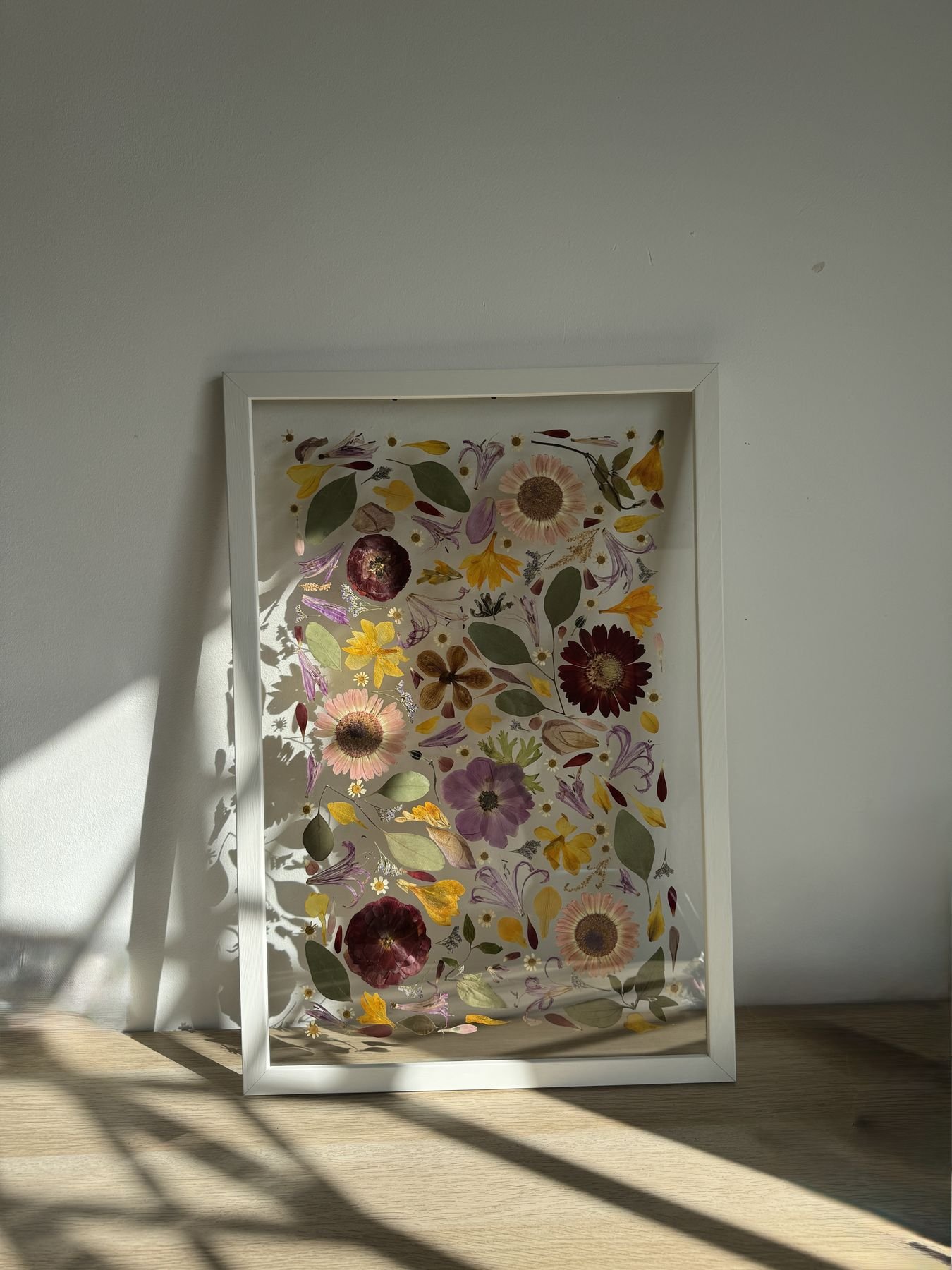 Cuadro con muchas flores prensadas distintas