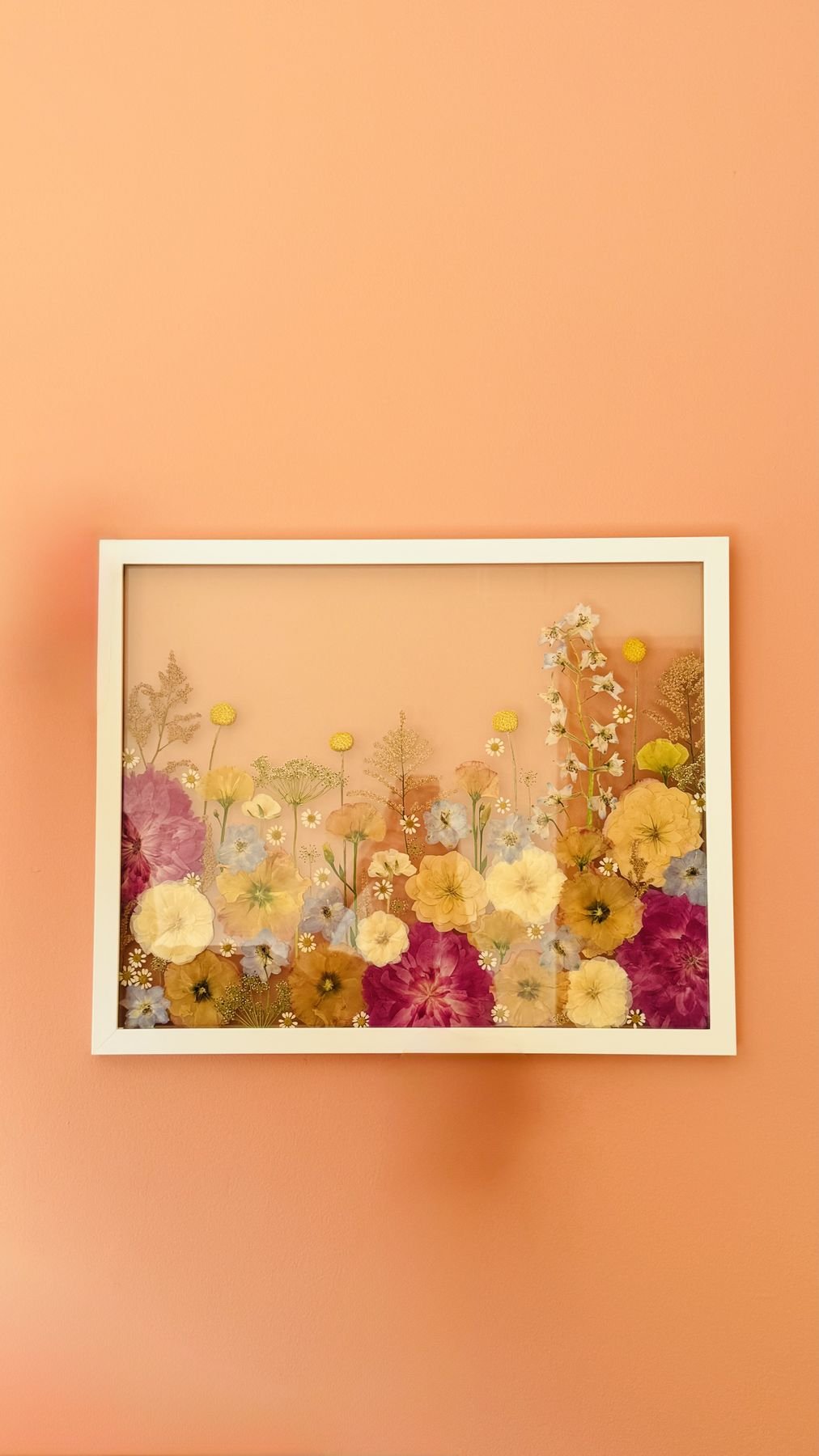Cuadro de flores prensadas sobre una pared naranja