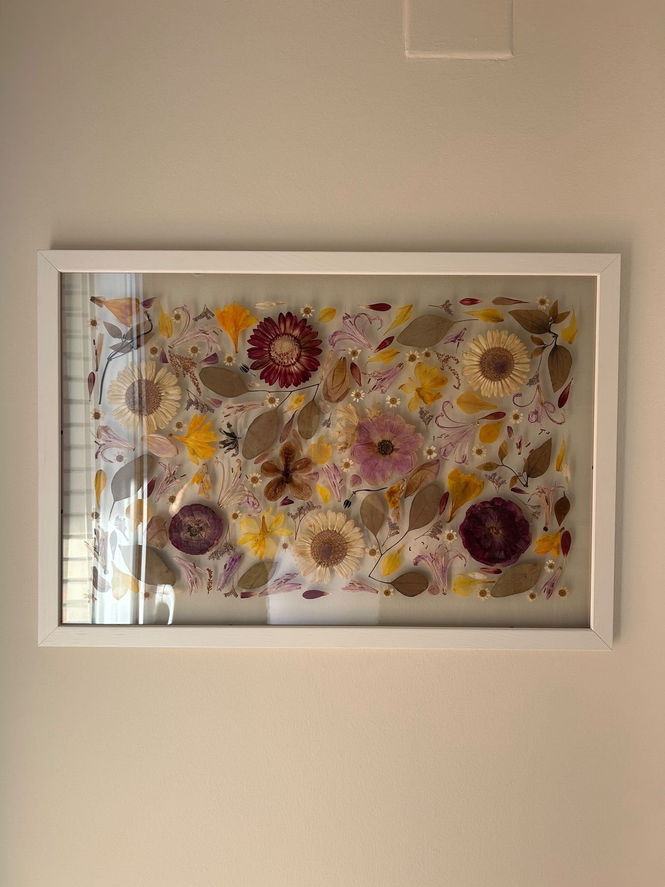 Cuadro terminado de flores prensadas en la pared